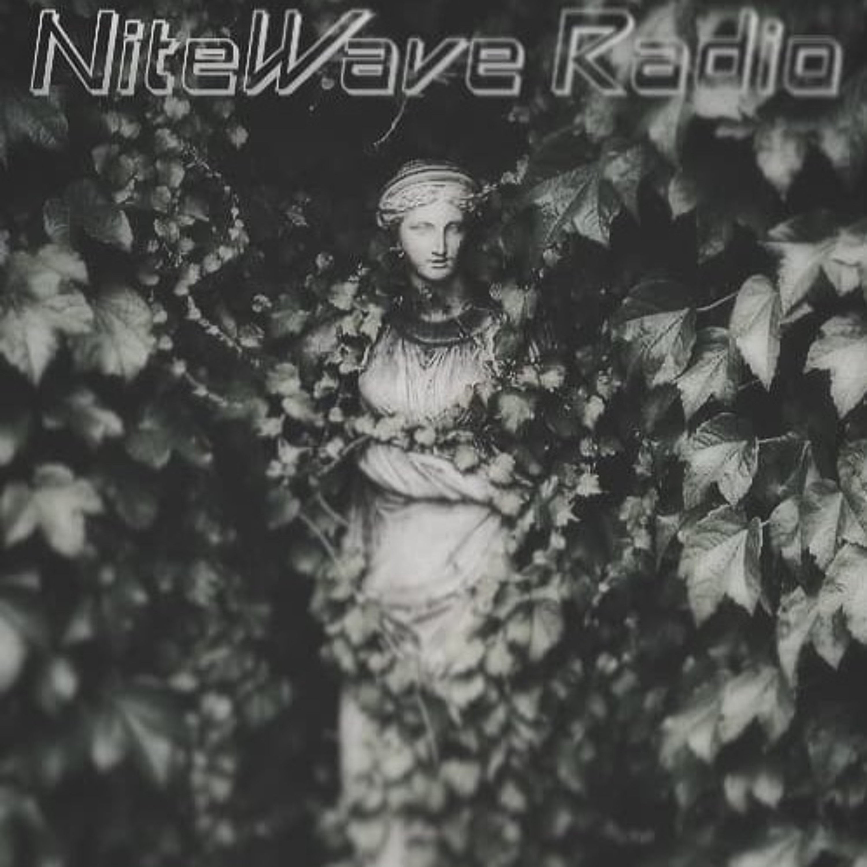 NiteWave Radio Show
