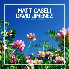 Matt Caseli & David Jimenez - Get Yourself Together (Fort Arkansas Remix Edit)