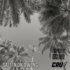 SALT1N ON D W3NG