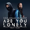 Steve Aoki & Alan Walker - Are You Lonely (feat. ISÁK) (Steve Aoki Remix)