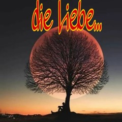 Liebe...Promo Set Deutsch by DJ ZiMMi