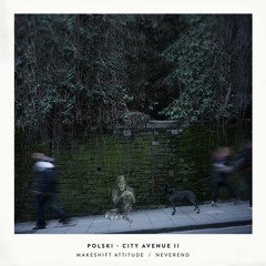 Polski & Chronic Drop - Neverend