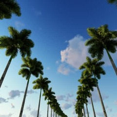 Senorita(Prod. by Taylor King x Zero)(Official Audio)