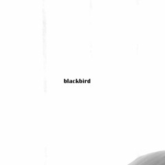 blackbird.mp3