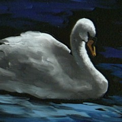 I. Glides the Swan