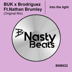 BUK X Brodriguez ft. Nathan Brumley- Into the light (preview)