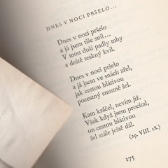 Dnes v noci pršelo...