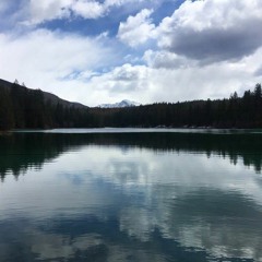 Untitled New Project