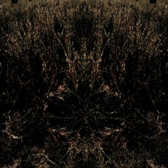Forest Creatures - Brejal