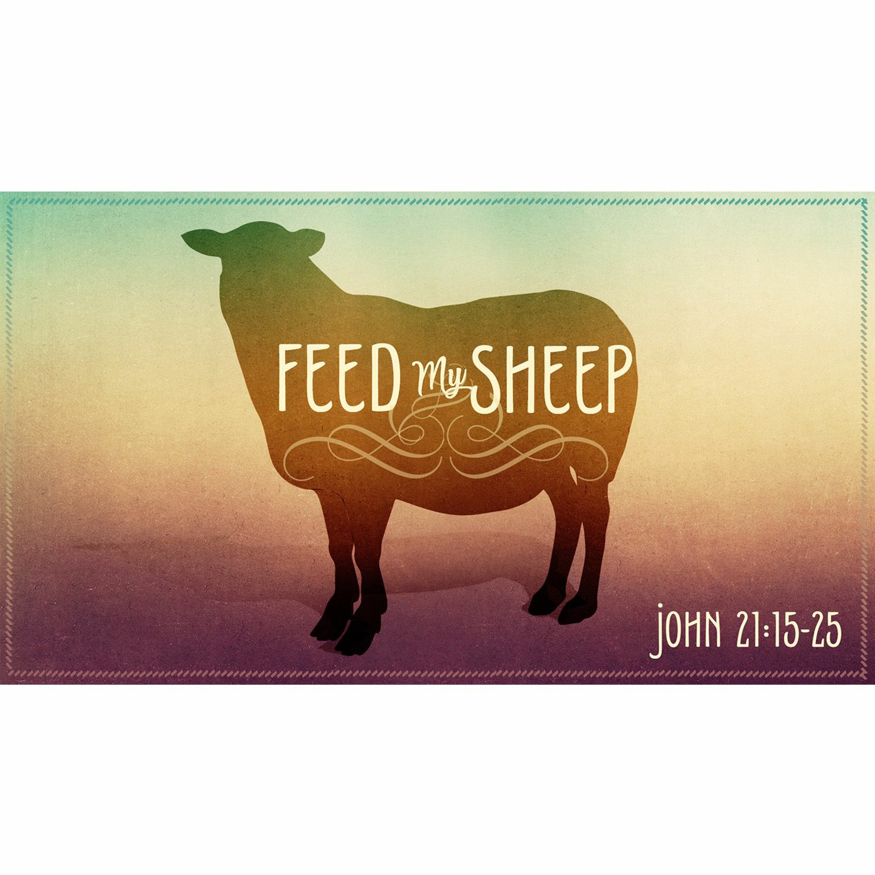 Sermon: Feed My Sheep episode artwork