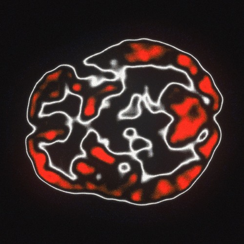 The Brain Game
