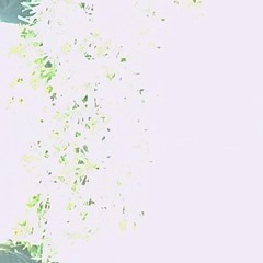 A Fukkin Lone Tav Fast@