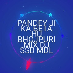 PANDEY JI KA BETA HU BHOJPURI MIX DJ SSB MDL.mp3