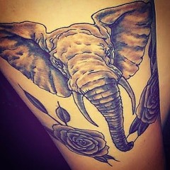 Jerrett Davis "Watching Elephant's"