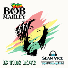 IS THIS LOVE (SEAN VICE TROPICAL REMIX)