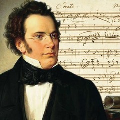 Franz Schubert - Trio en Mi bemol majeur opus 100 D.929 - Andante Con Moto - Trio Fontenay