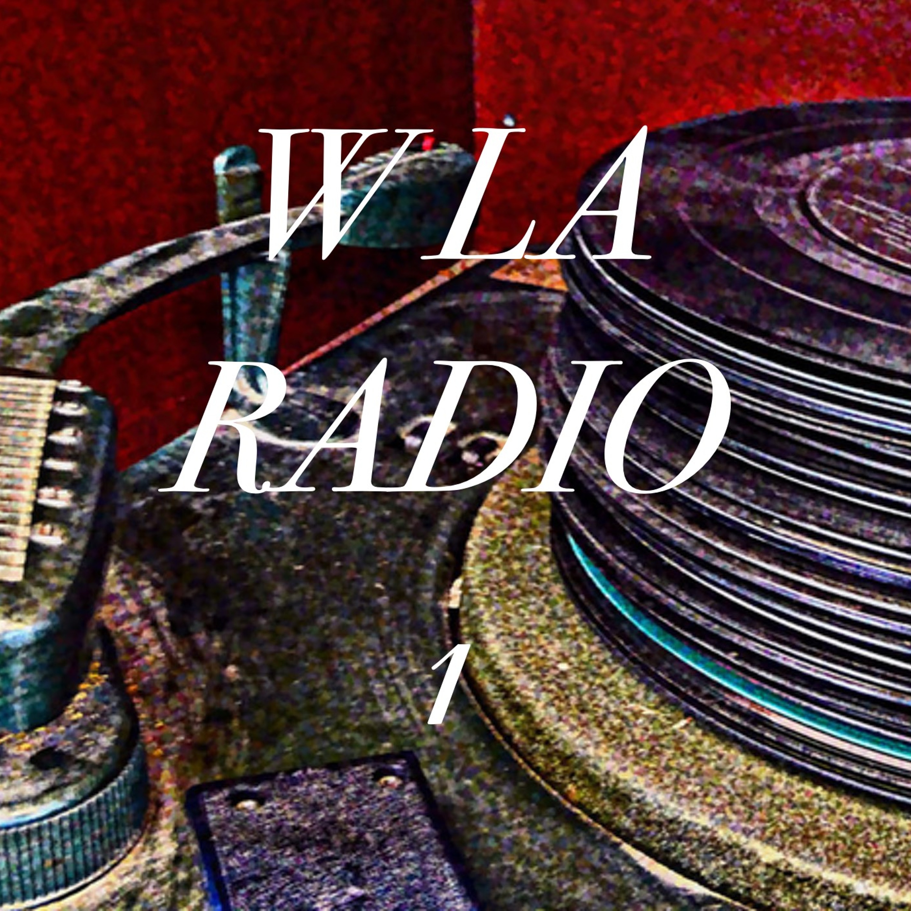 Vita da speaker