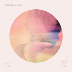 Shawn Mendes - If I Can't Have You (Sulli Flip)