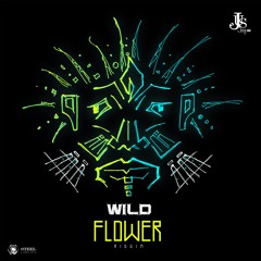 Holla Bak x Shontelle - Shy Girl (Wild Flower Riddim)