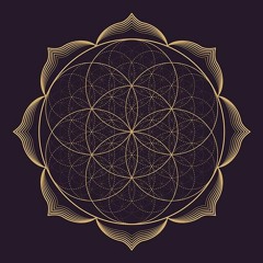 NEBERIUS - Flor Da Vida (230BPM)