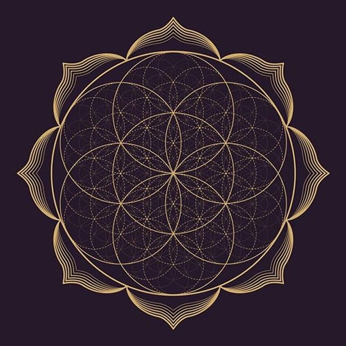 NEBERIUS - Flor Da Vida (230BPM)