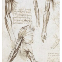 Progressive Muscle Relaxation, Fiona (13 min)