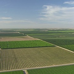 Big Mocc - Backwood Bayou (Prod. Payro)