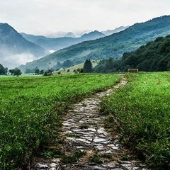 مســجد الصحــابة  ( أبــصر طـريقـــك 2 )  • للشيخ سمير مصطفى