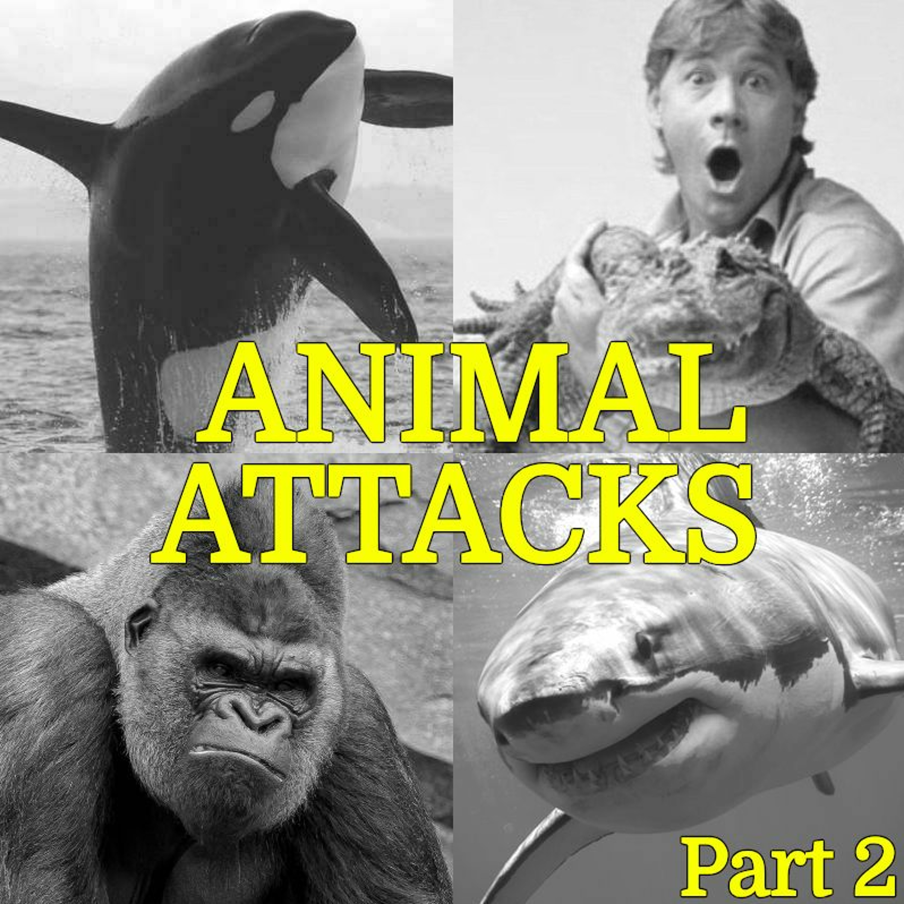 025.5 - Animal Attacks Part 2