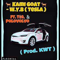Kami Goat - W.Y.B. ft. Polovolvo, T$9