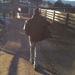 Los Elegantes De Jerez - El Vaquero