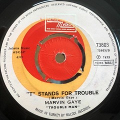 Marvin Gaye - 'T' Stands For Trouble (Pied Piper Regrooved Version)