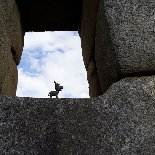 reject burger (scraps)