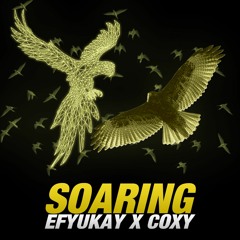 EFYUKAY X COXY || SOARING (PROD. PENACHO)