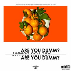 FLMMBOiiNT FRDii - ARE YOU DUMM? (Produced by Paper Platoon)