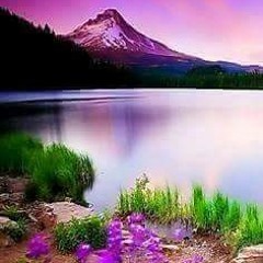 أيقنت أن الله يجبر خاطري / منصور السالمي