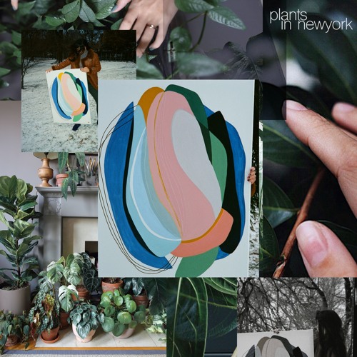 plants in new york | 1st june | link in description