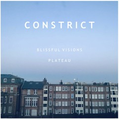 Blissful Visions