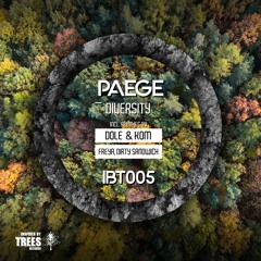 Paege - Diversity (Original Mix)