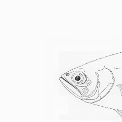 She Moved Through The Waltz