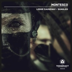 Montesco - Lodge causeway [TESREC032] OUT NOW ON BANDCAMP, OTHER STORES 11TH JUNE
