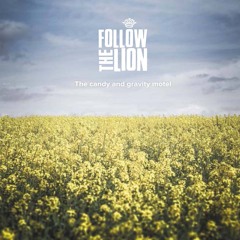 FOLLOW THE LION - Candy And Gravity