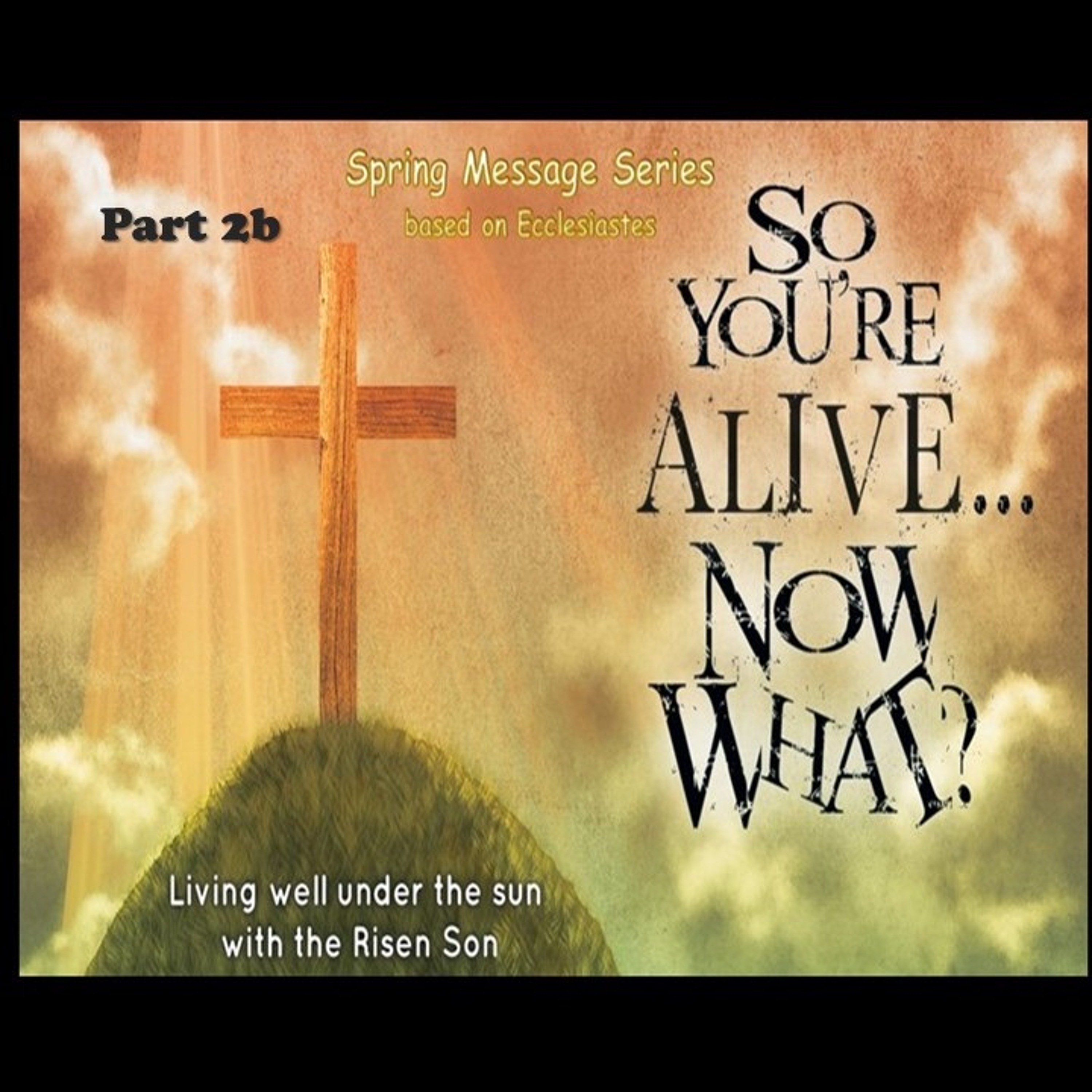 So You're Alive, Now What?  Part 2b   May 19, 2019 episode artwork