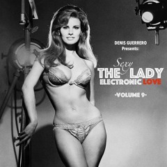 The(Sexy)Lady Vol. 9 -Electronic Love-