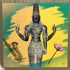 Sample Challenge Week 2: David Liebman - Sweet Hand