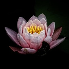 Twisted Mama - SOAR Fm, psytrance dj set for dj Korento's podcast PART I