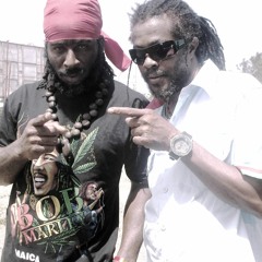 Sweet Reggae feat. Wild Life (Nazamba)