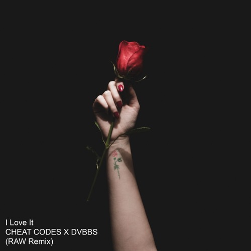 Cheat Codes X DVBBS - I Love It (boslyk Remix)