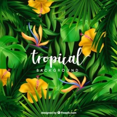 BACK-JAVAPRODUCCIONES REMIX 2019