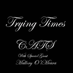 CATS With Mallory O'Meara